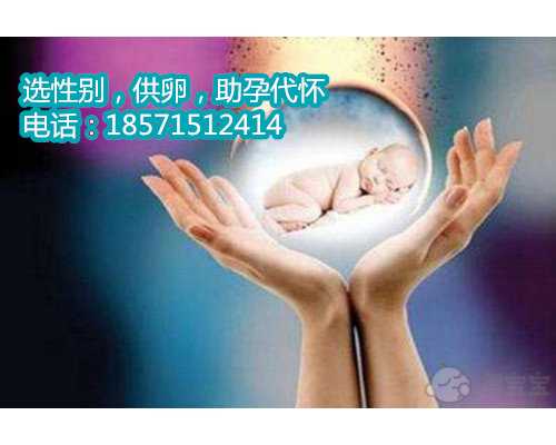 湛江三代试管有哪些郑州代怀孕机构私人生孩子公司有哪些名单