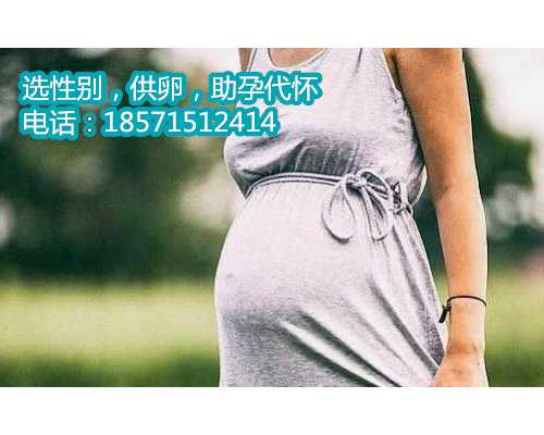 <b>涨没涨价不知道，上海六院试管郑州代孕包性别套餐花费明细表在这里</b>