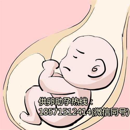 泰国第三代试管机构：高龄郑州专业代怀公司，重庆哪里可以供卵做试管婴儿？