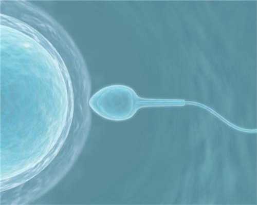 囊胚可以作为试管婴儿的起点吗？