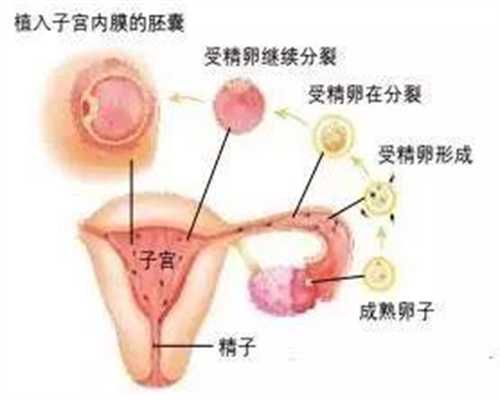 做试管囊胚移植后十二天还是白板怎么办？还能怀孕吗