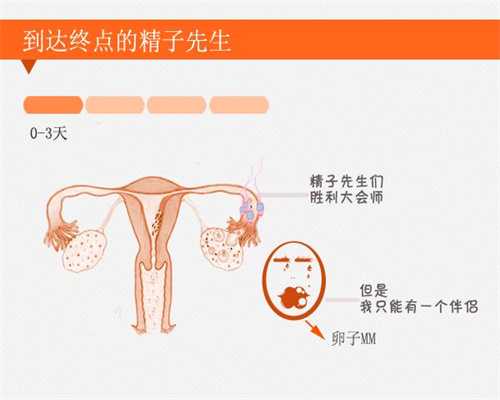 子宫内膜受损多次人流 泰国试管婴儿助孕成功生