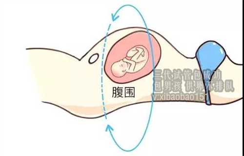 郑州供卵试管交流群，美国试管婴儿——不孕不育患者“好孕”的摇篮