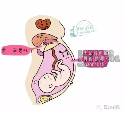 2022年郑州代生宝宝费用，同样都是促排，为什么你取出的卵子比别人少？