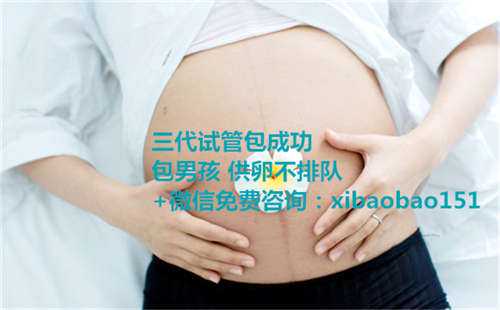 北京代卵代怀,第二代试管婴儿的费用大概是多少？