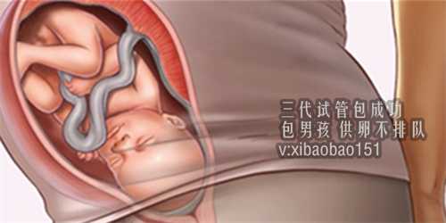 不孕不育找西安代怀孕,上海供卵代怀价格,上海试管婴儿有哪些技术？