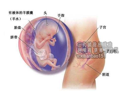 郑州正规的供卵医院有哪些_女性多大年纪，就不能通过试管助孕了？