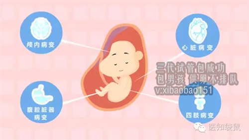 郑州哪里供卵选性别_2022年试管婴儿的花费明细（内附省钱好方法）
