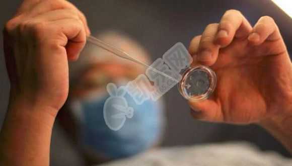 打了新冠疫苗影响做试管婴儿吗？